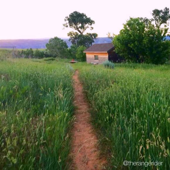 A Trail to Coffee